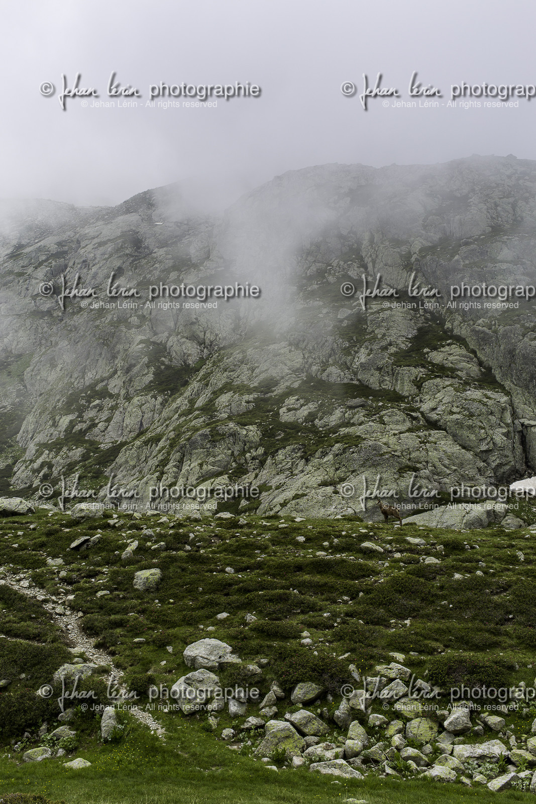 lac-autier_la-gordolasque_21-06-2015-5504.jpg