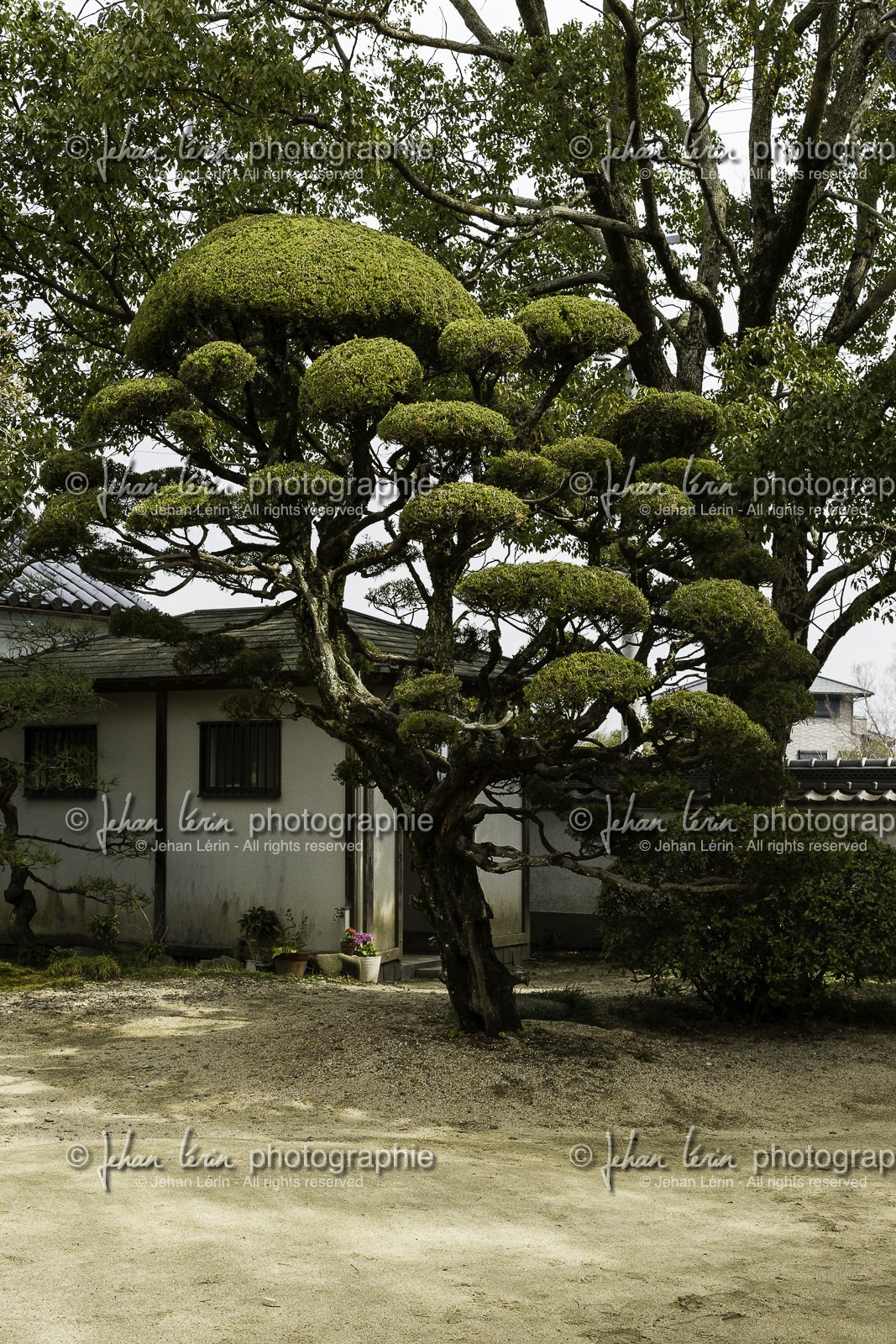 horinji_temple-9_shikoku_japon_06-03_2014-1881.jpg