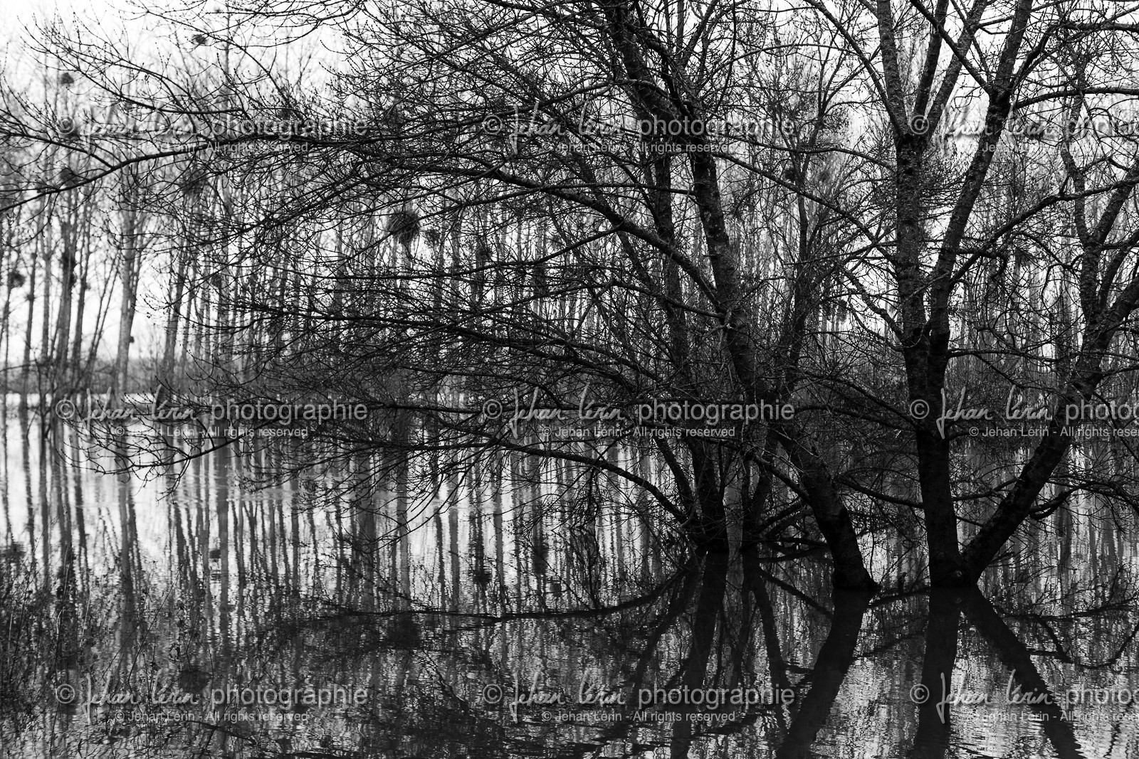 la-possonniere_maine-et-loire-_-france_23-12-2012-35608.jpg
