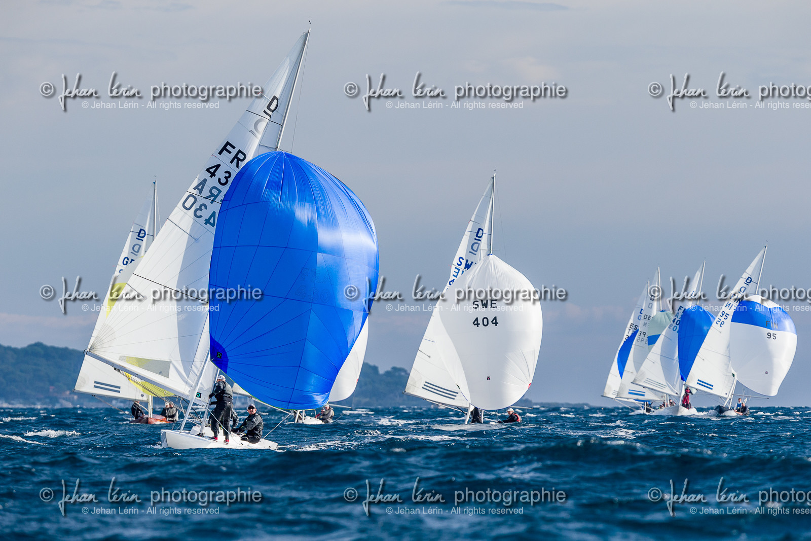 Armistice Cup Dragon 2022