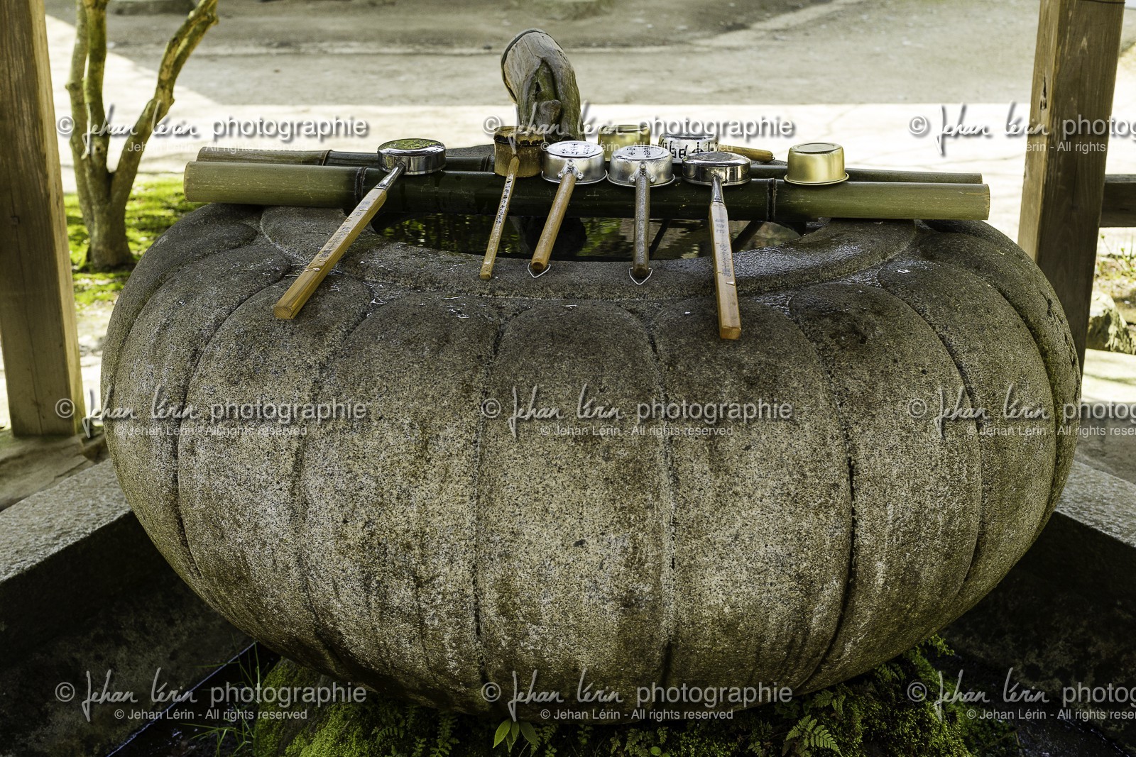 negoroji_temple-82_shikoku_japon_09-04_2014-4500.jpg