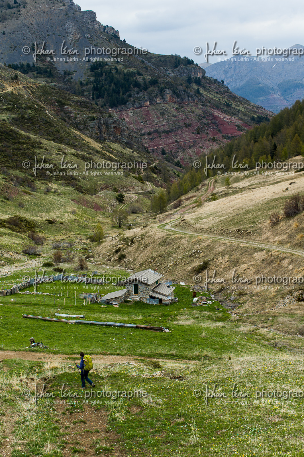 trek-loueve-dome-du-barrot-amen-loueve_alpes-maritimes_1dx_05-05-2016-2722.jpg