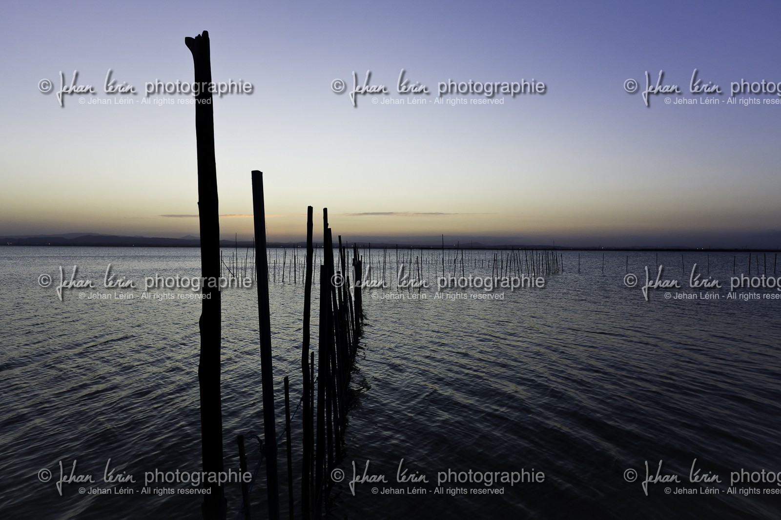 l-albufera_valencia_21-09-2011-0268.jpg