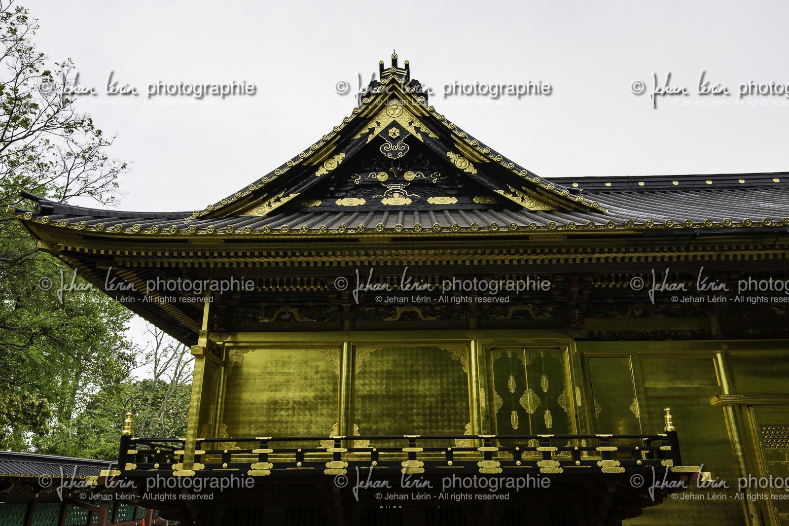 ueno_tokyo_japon_jl_5d3_05-05-2014-1593.jpg