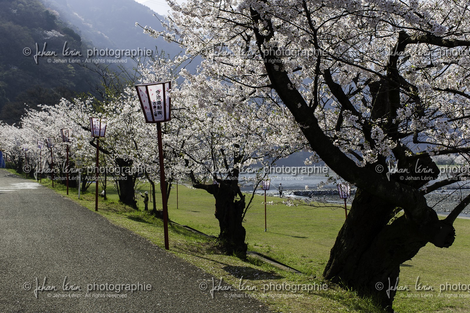 trim-park_en-route-vers_temple-65_shikoku_japon_03-04_2014-3772.jpg