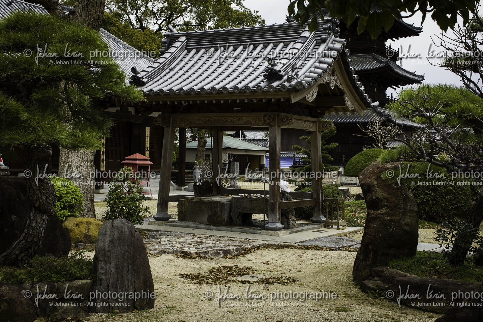 motoyamaji_temple-70_shikoku_japon_06-04_2014-3972.jpg