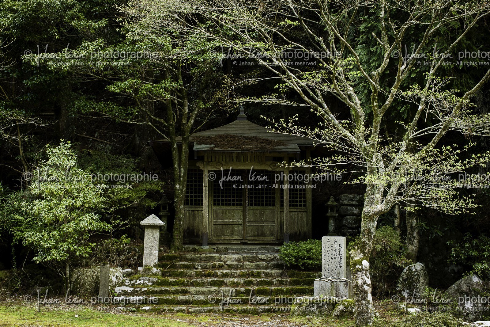 kumano-trail_day4_kogushi-kumano-nachi-taisha_kansai_japon_25-04-2014-5637.jpg