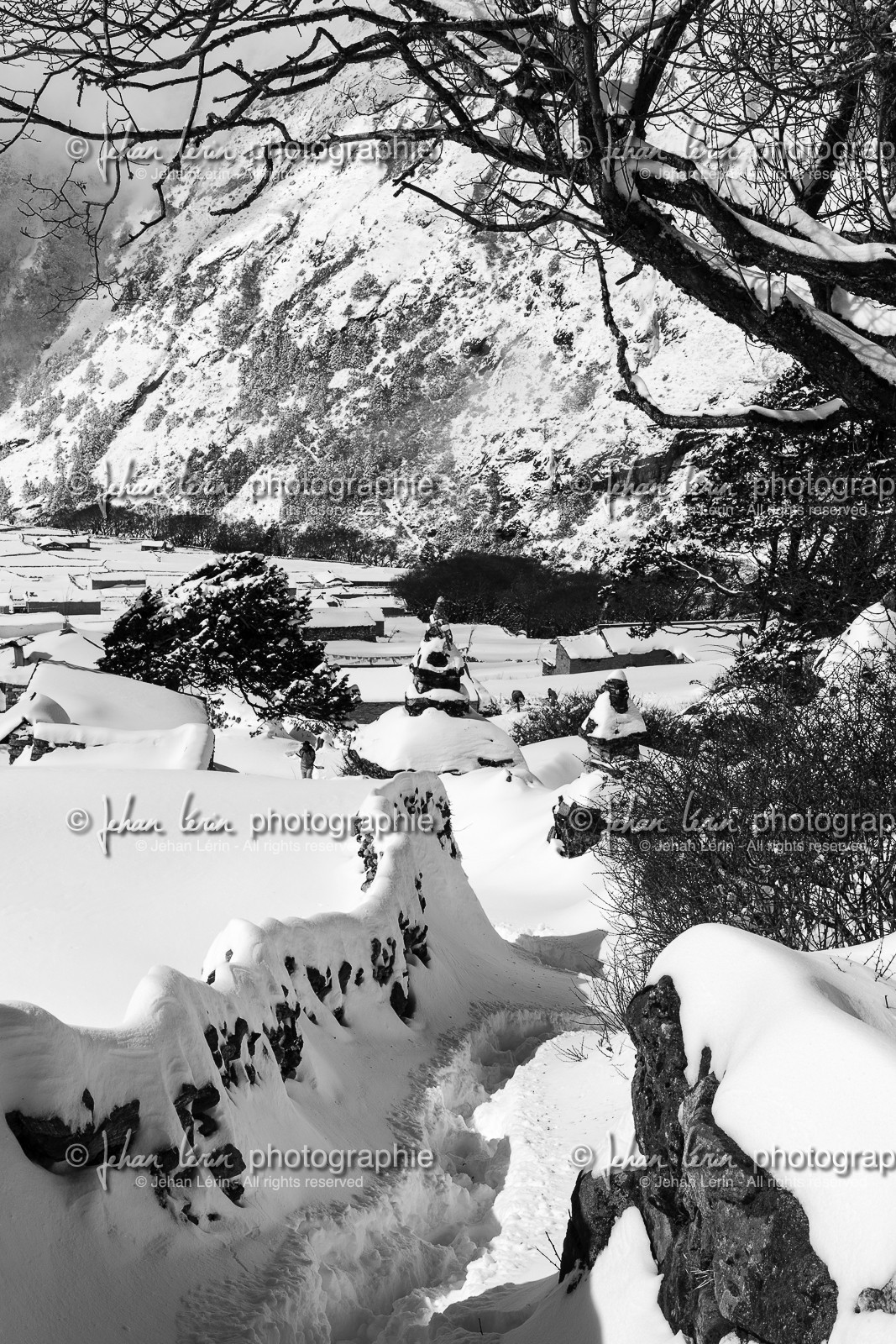 nepal_rolwaling-and-khumbu-area_phortse_17-02-2013-36825.jpg