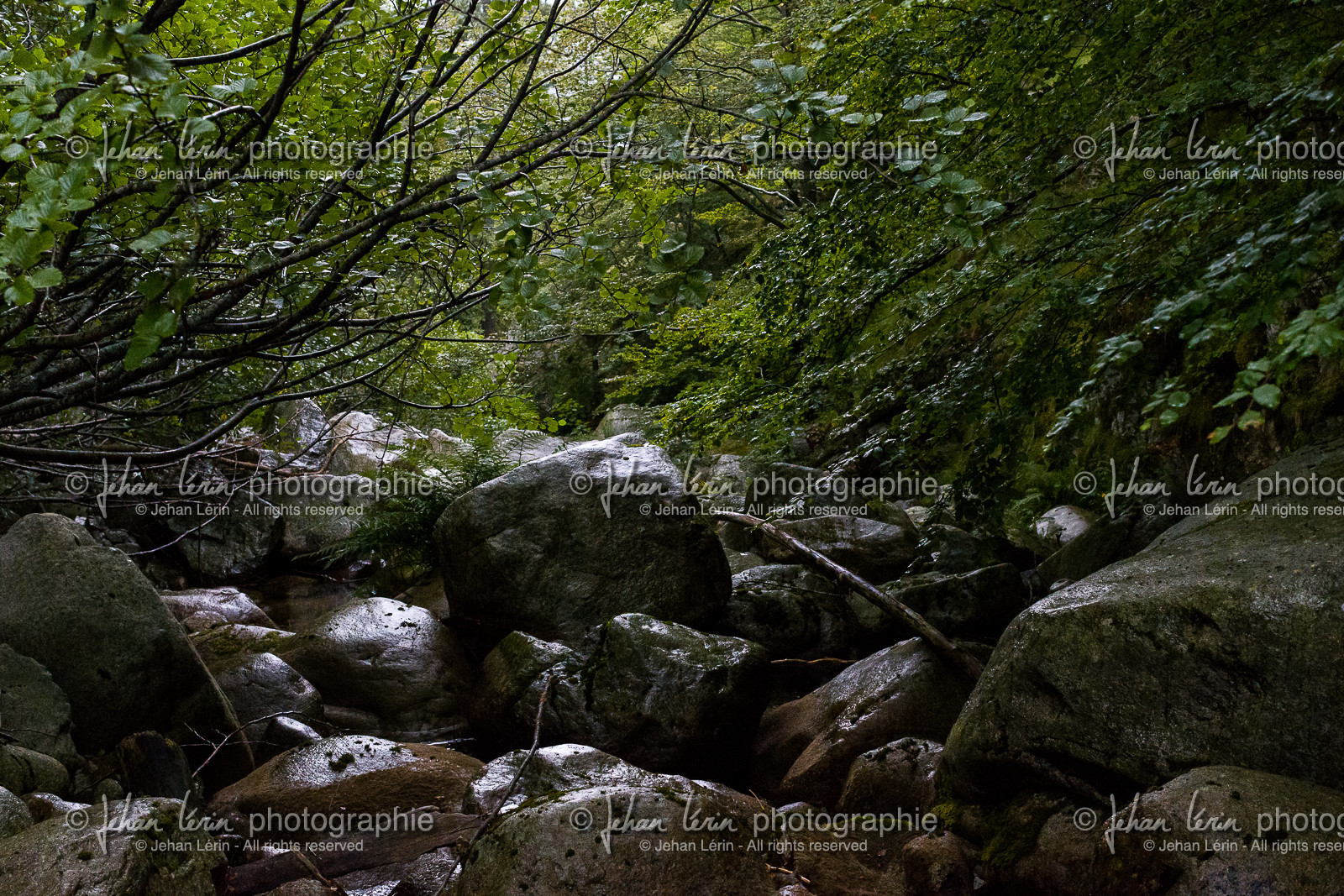 gr20_corse_jl_1dx_23-07-2016-0743.jpg