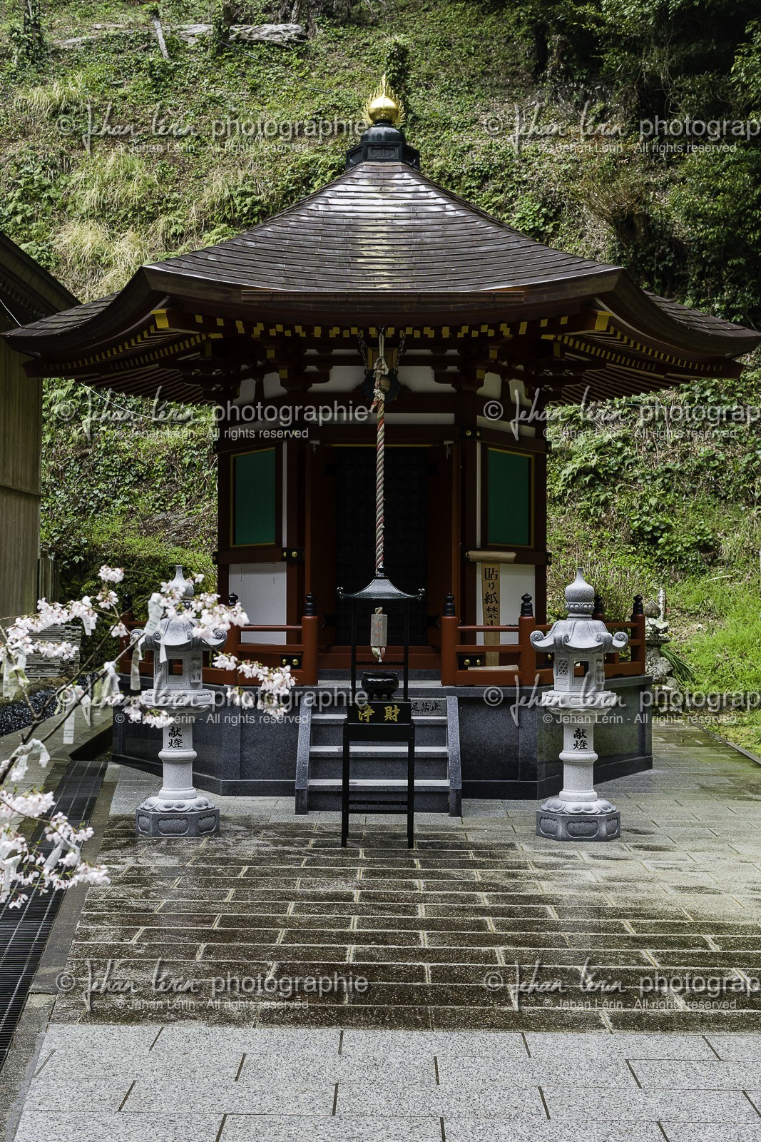 shoryuji_temple-36_shikoku_japon_18-03_2014-2886.jpg