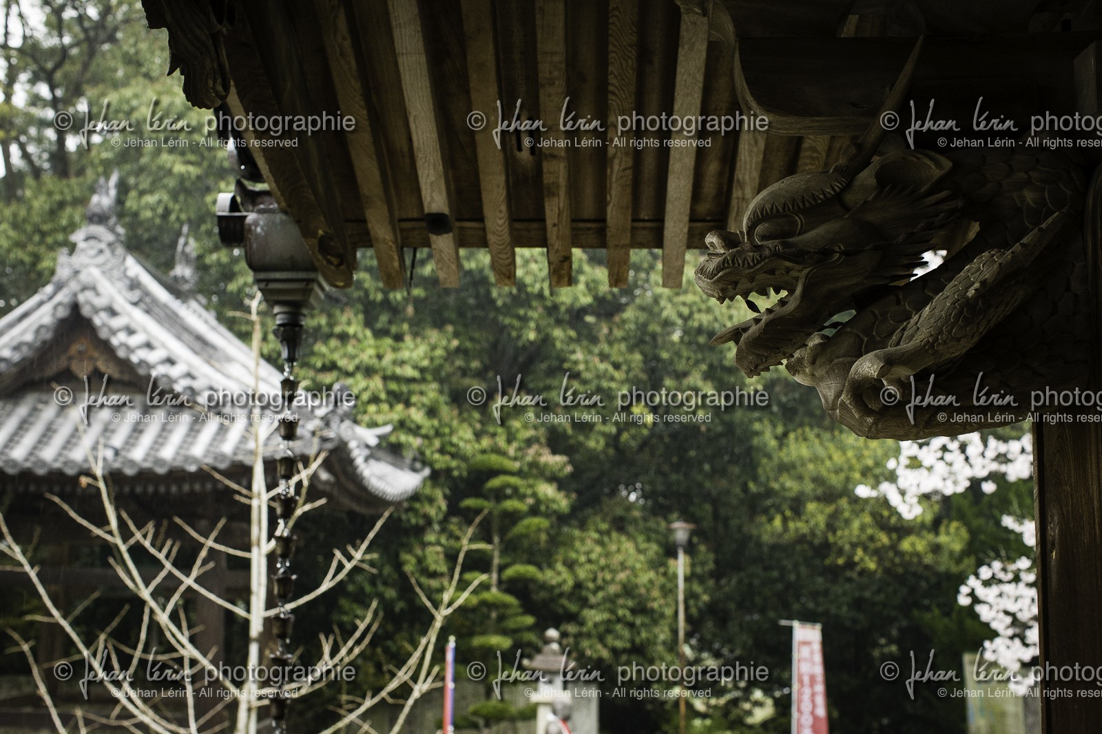 daikoji_temple-67_shikoku_japon_05-04_2014-3899.jpg