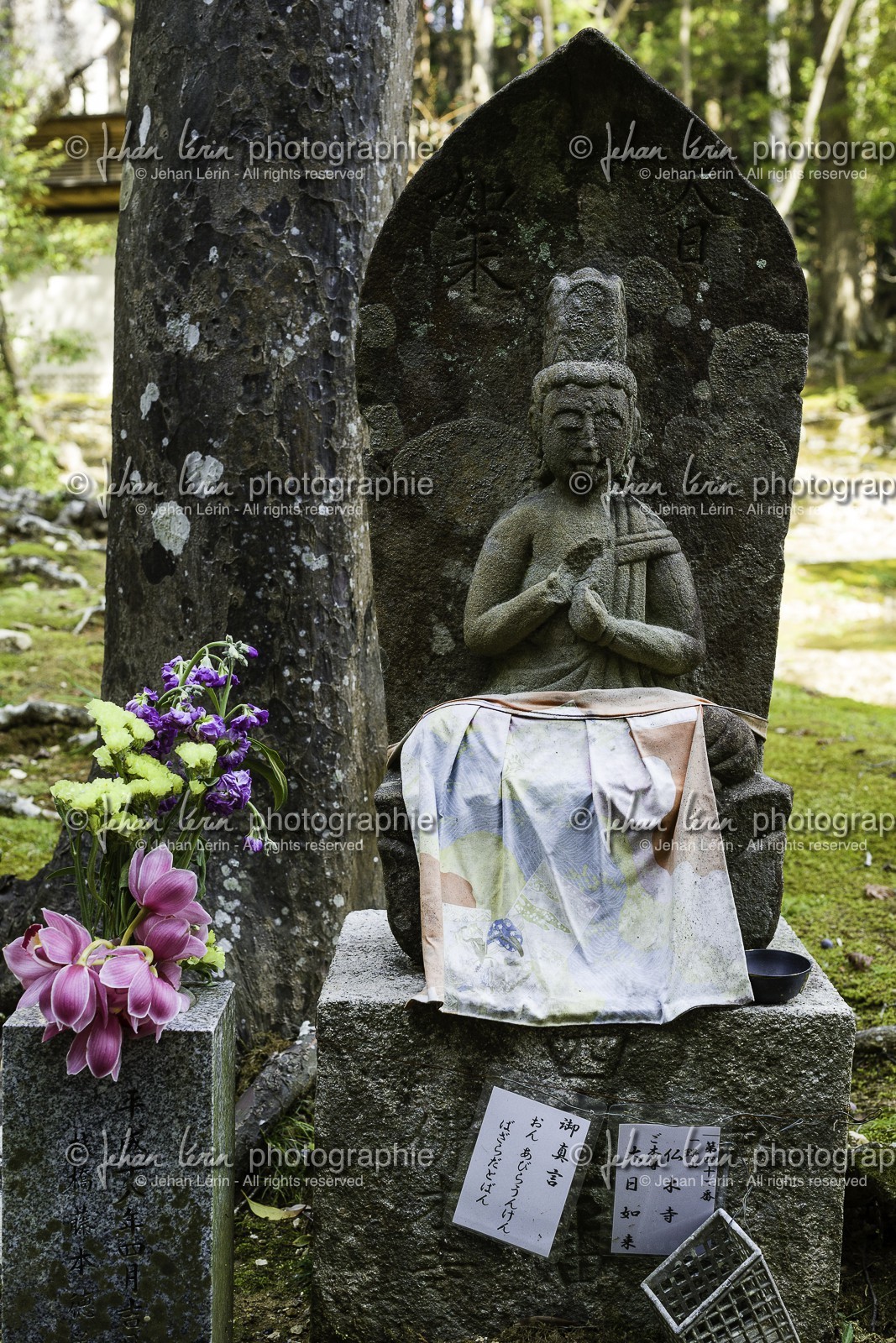 chikurinji_temple-31_shikoku_japon_17-03_2014-2665.jpg