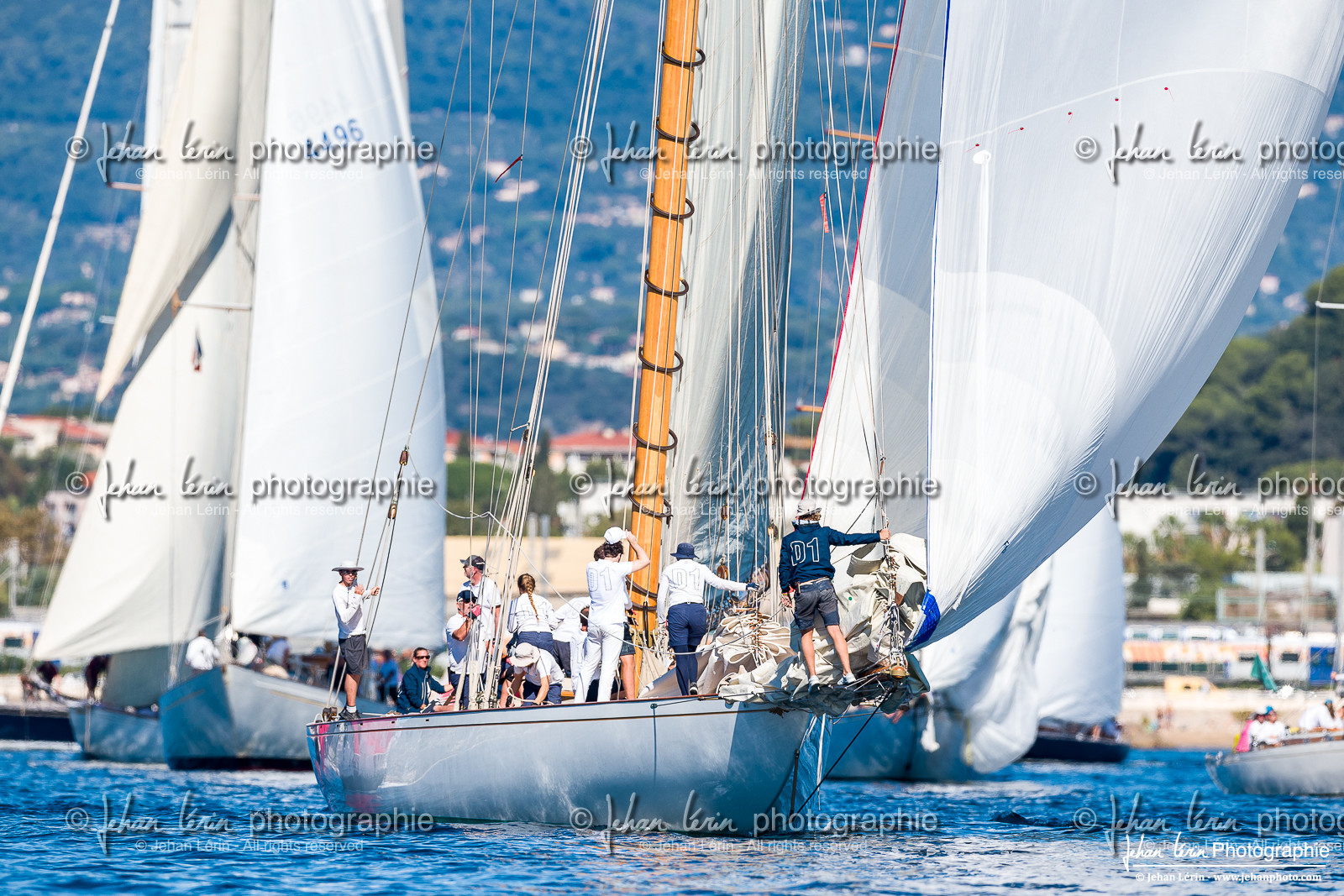 Régates Royales 2024