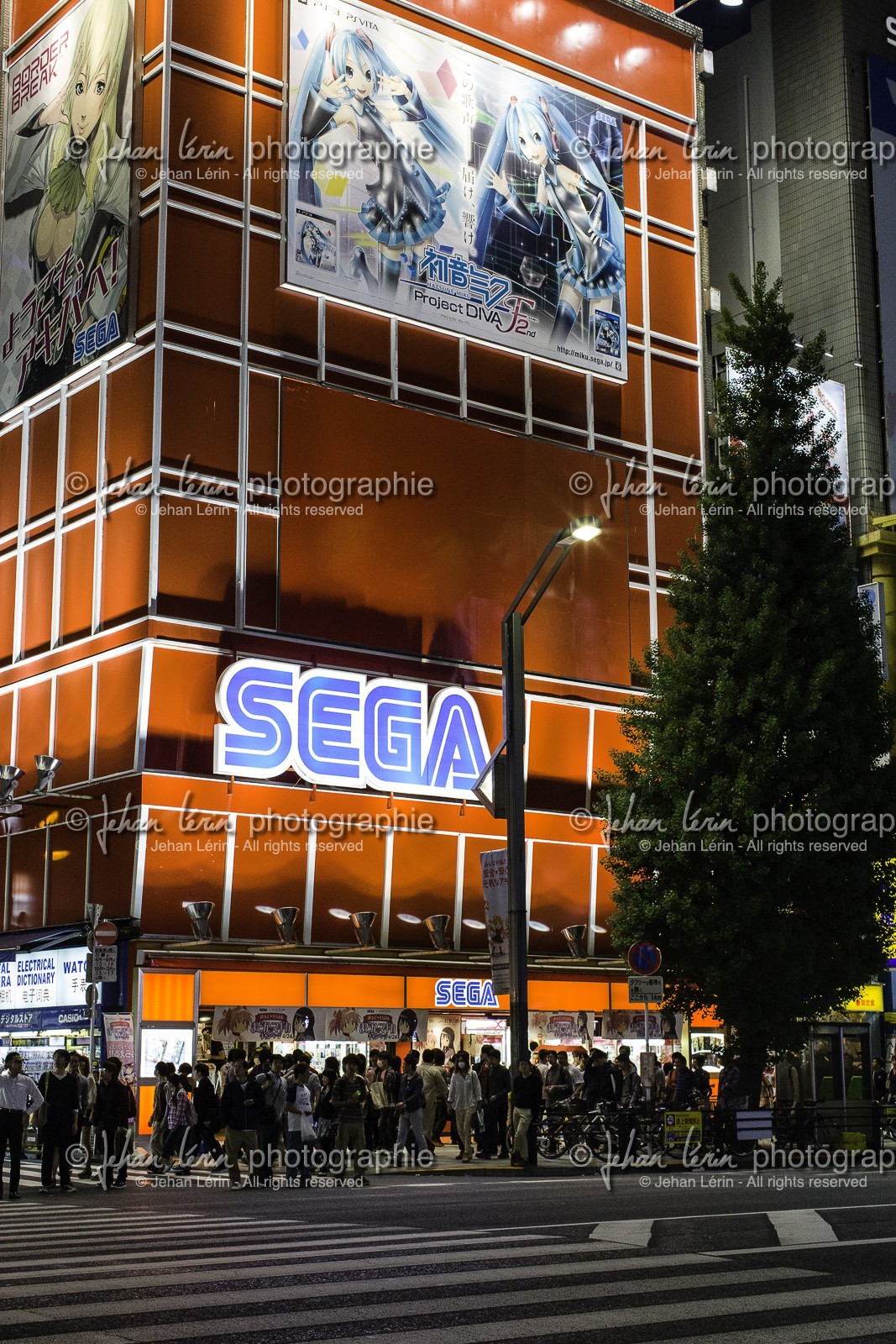 akihabara_tokyo_japon_jl_1dx_03-05-2014-6085.jpg