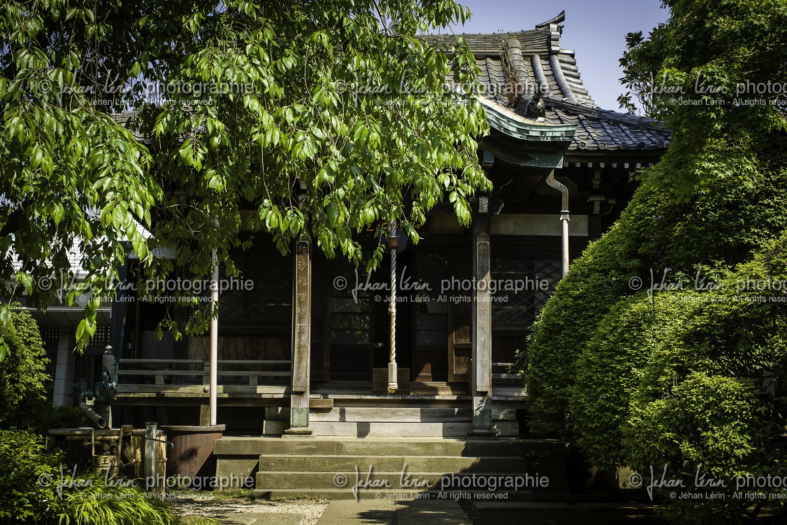 yanaka_ueno_tokyo_japon_jl_1dx_07-05-2014-6441.jpg