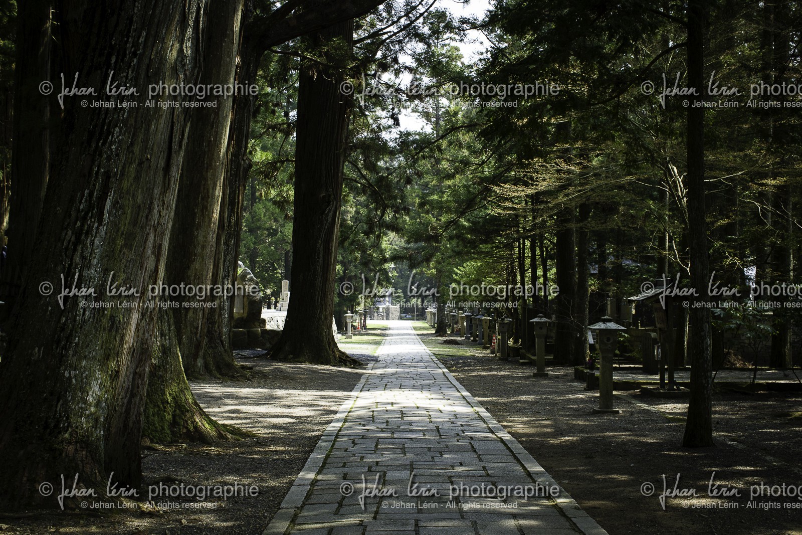 koyasan_japon_jl_1dx_17-04-2014-5205.jpg