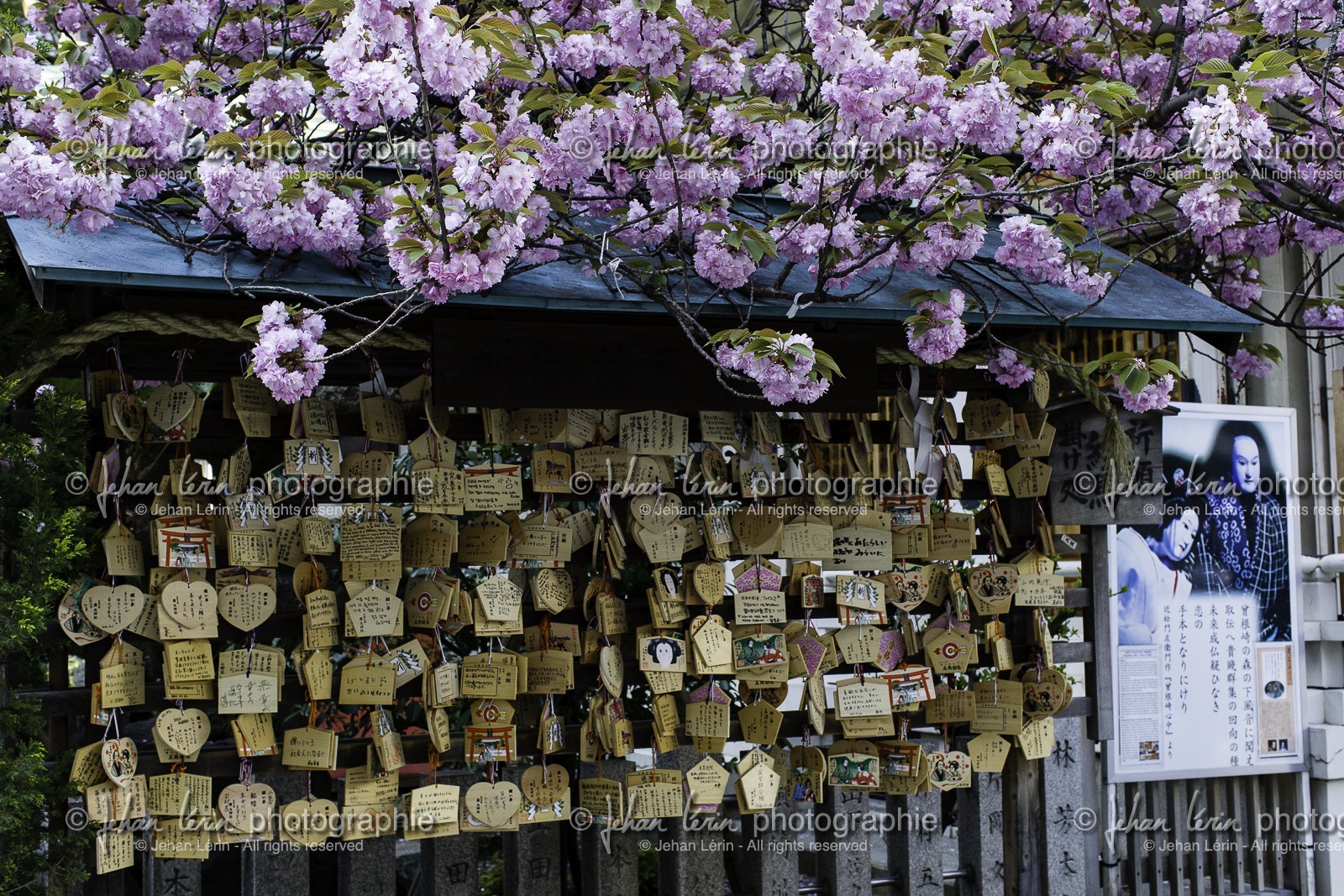 ohatsu-tenjin-sanctuary_osaka_japon_jl_1dx_14-04-2014-4799.jpg