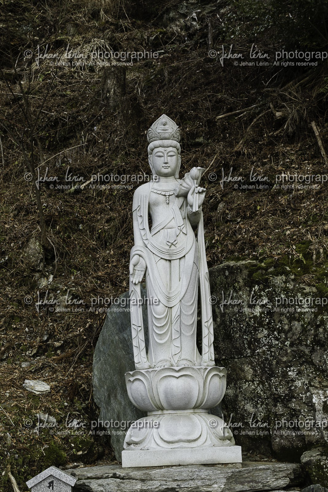shosanji_temple-12_shikoku_japon_07-03_2014-1993.jpg