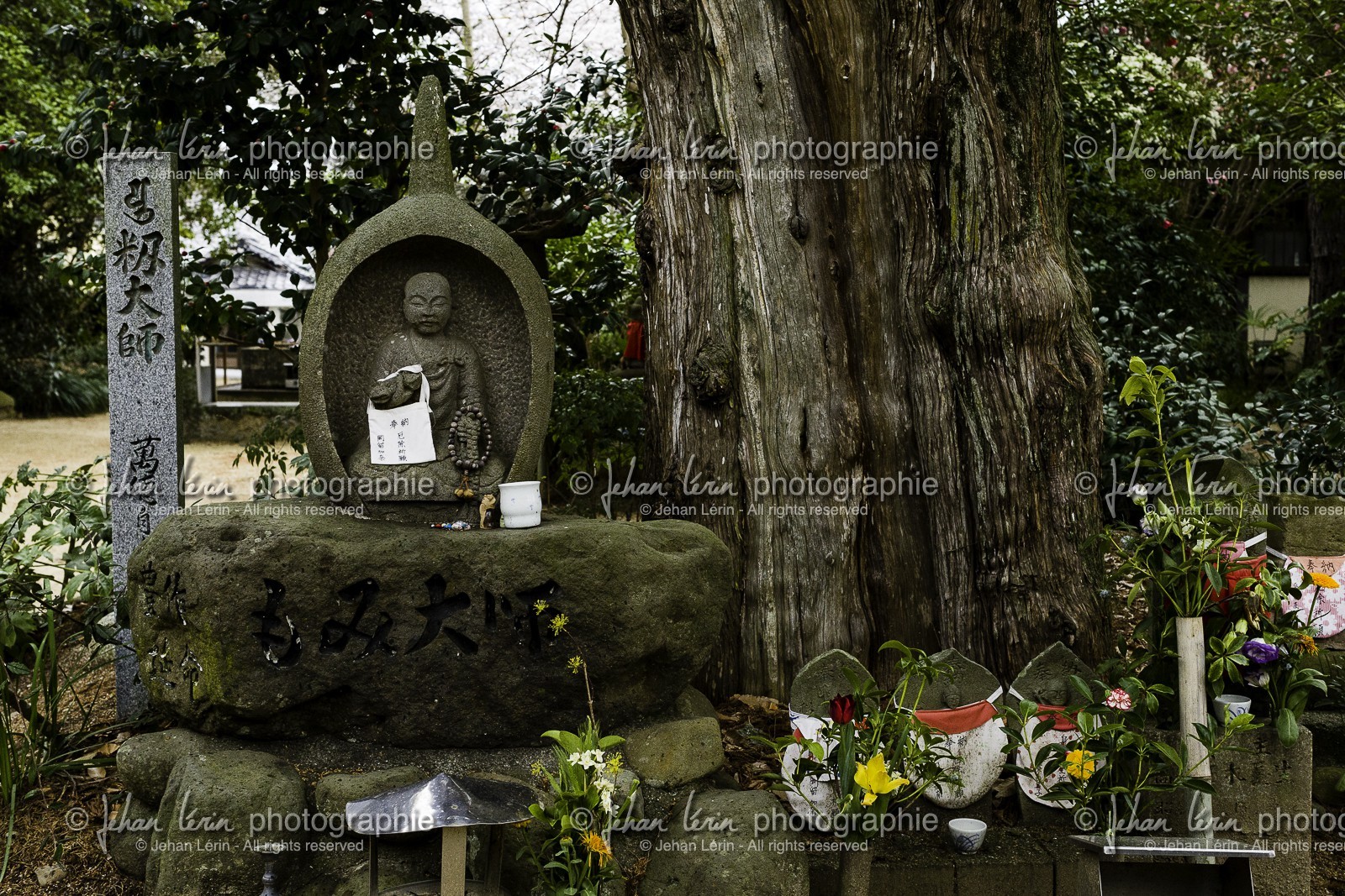 joruriji_temple-46_shikoku_japon_29-03_2014-3333.jpg