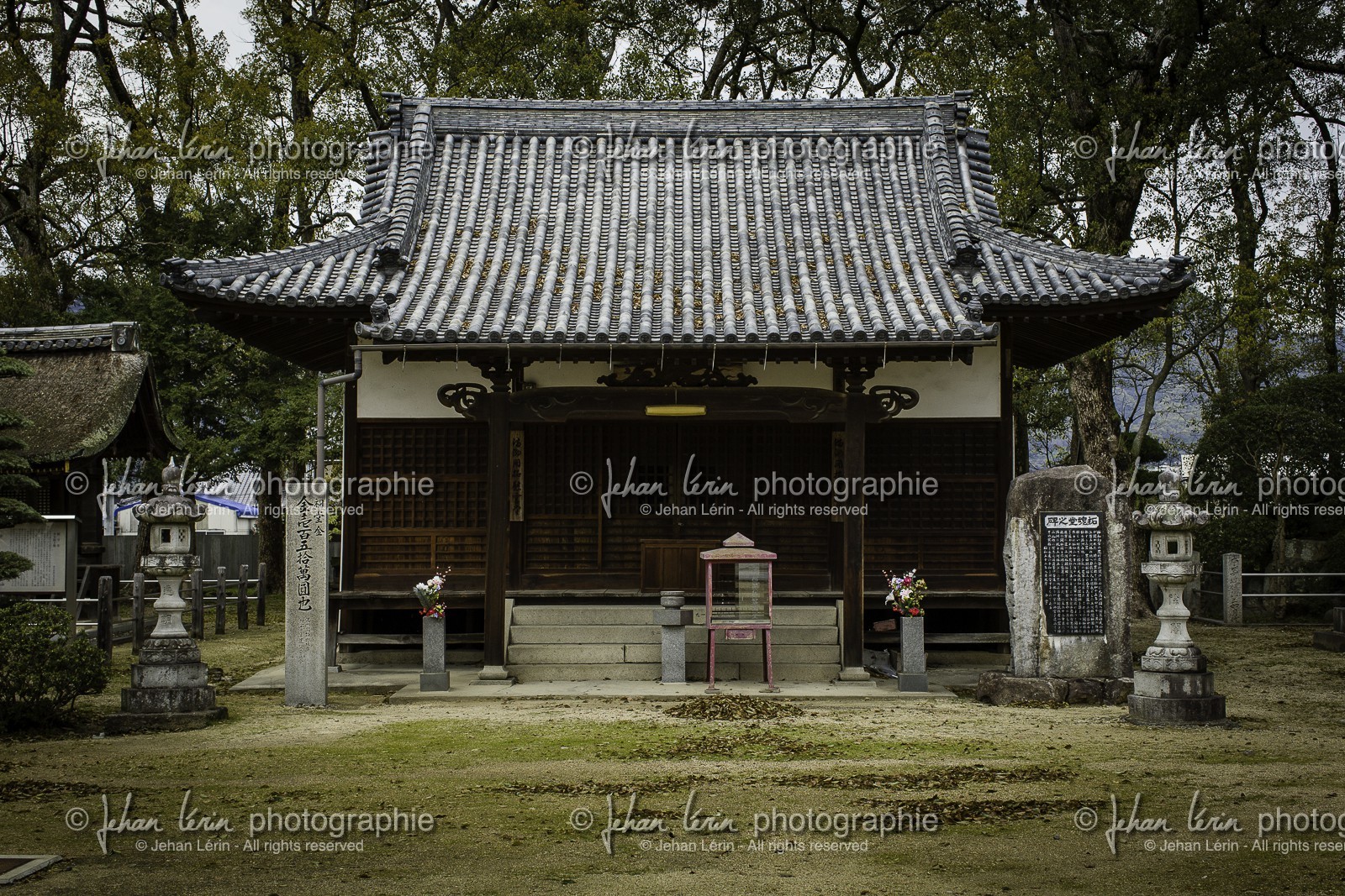 motoyamaji_temple-70_shikoku_japon_06-04_2014-3969.jpg