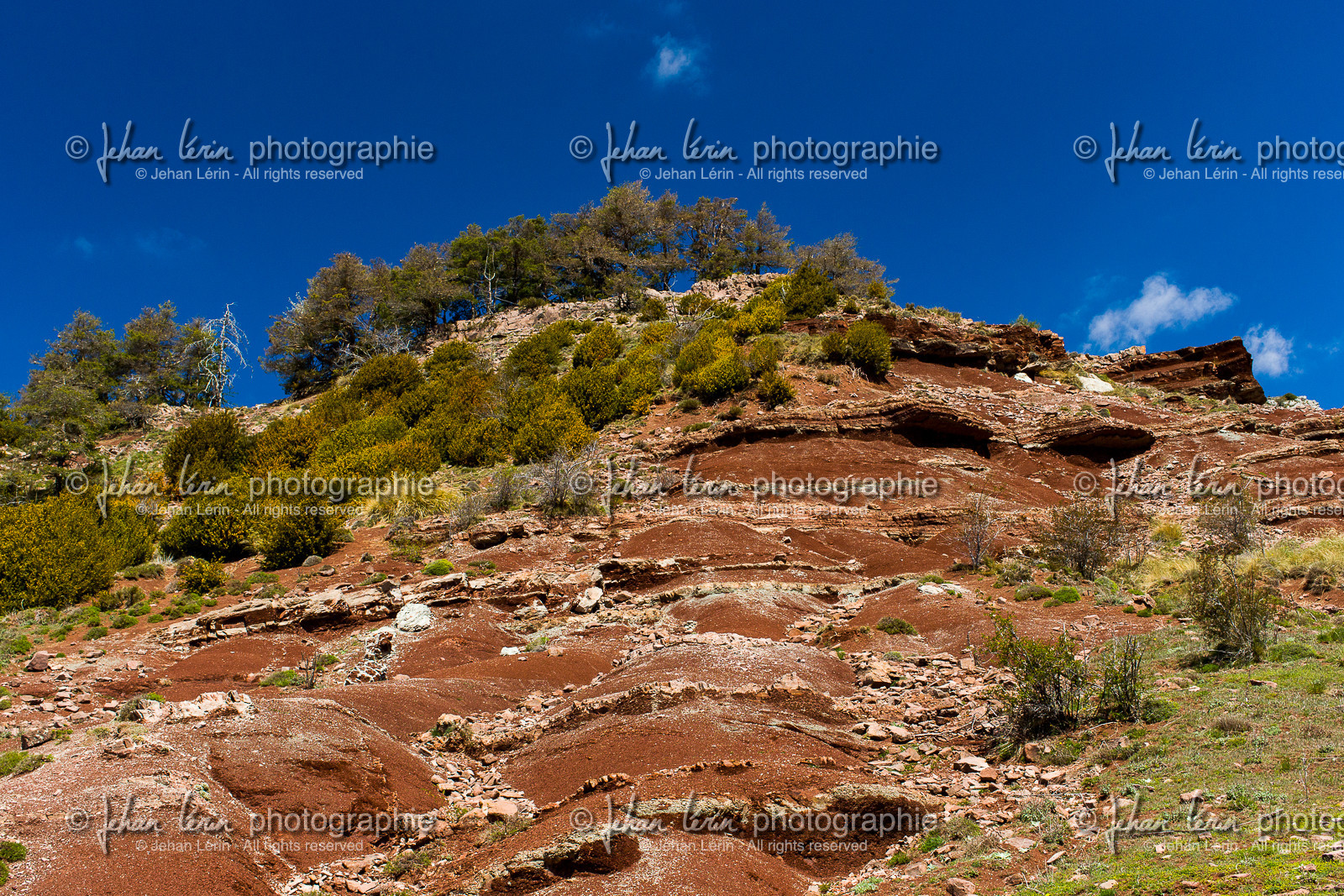 trek-loueve-dome-du-barrot-amen-loueve_alpes-maritimes_1dx_05-05-2016-2709.jpg