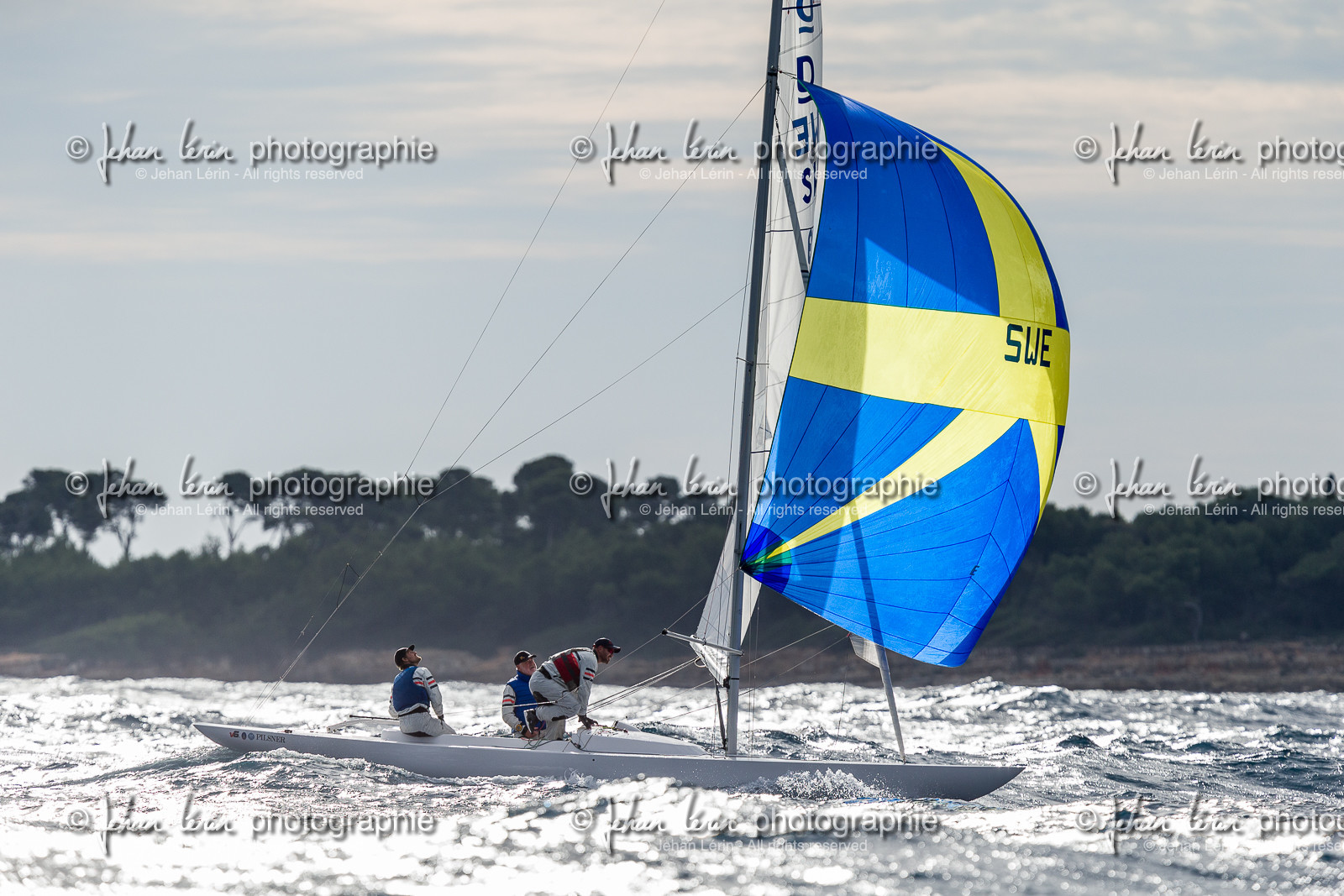 Armistice Cup Dragon 2022