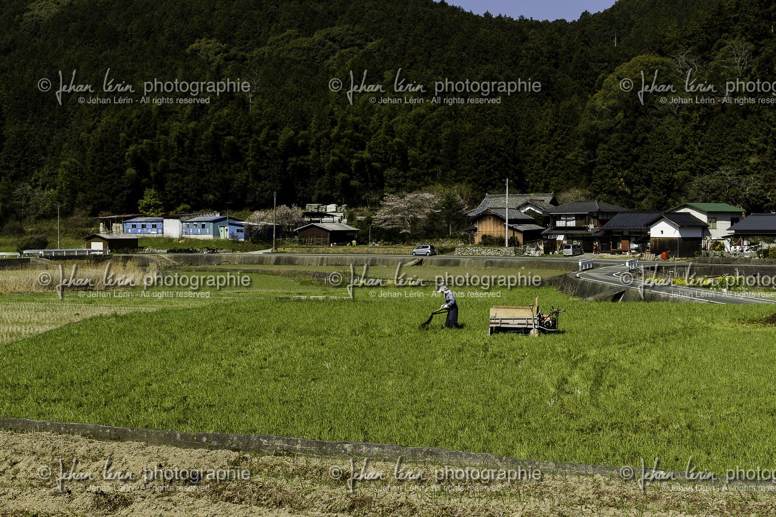 ozu_shikoku_japon_28-03_2014-3264.jpg