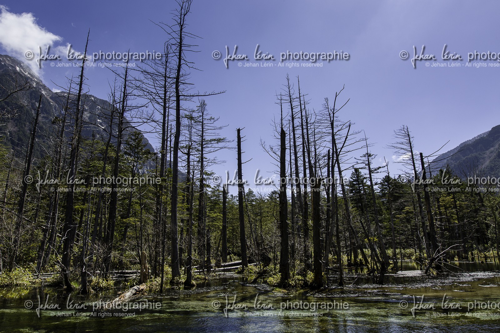 kamikochi_japon_jl_5d3_02-05-2014-1512.jpg