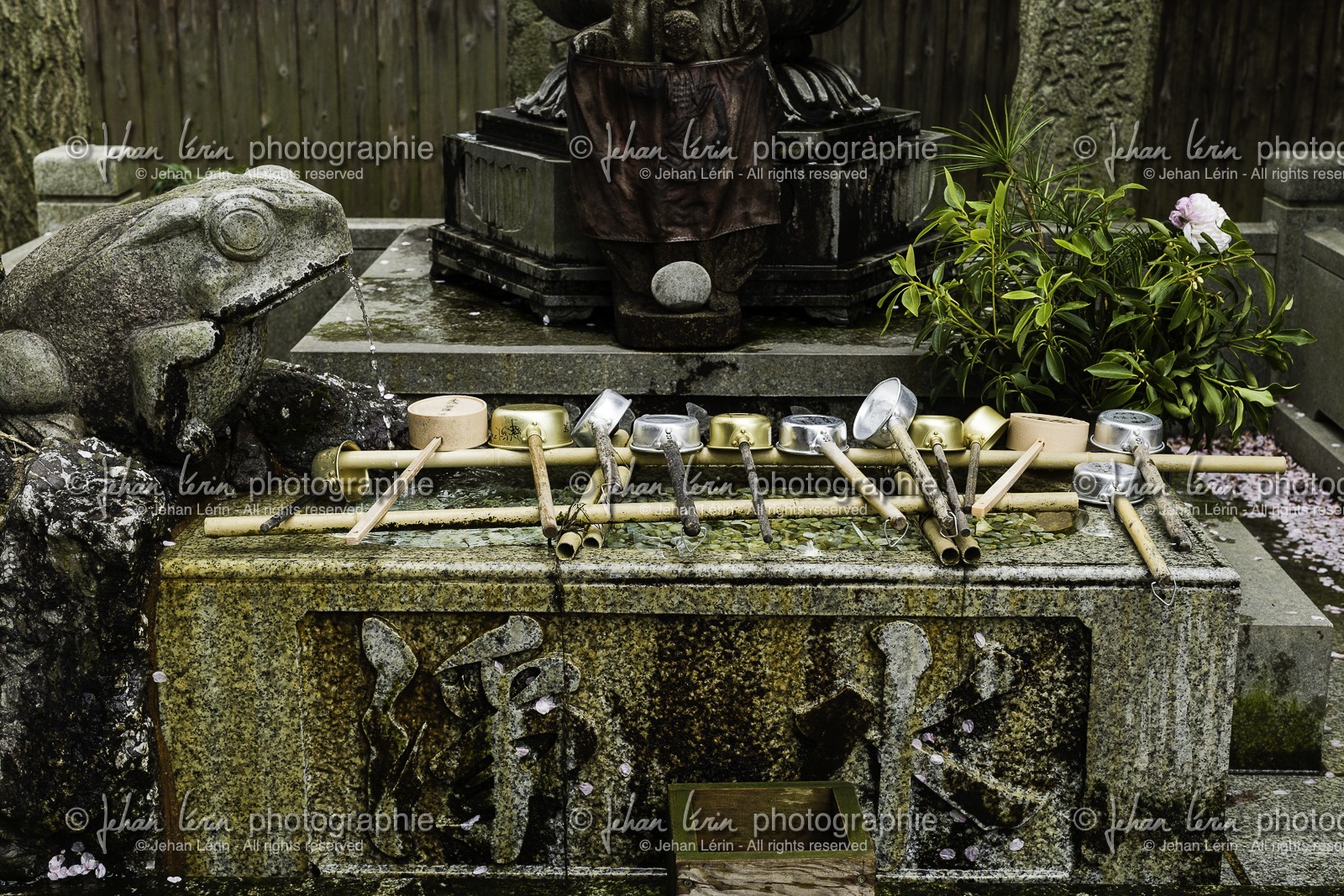 ryozenji_temple-1_shikoku_japon_12-04_2014-4751.jpg