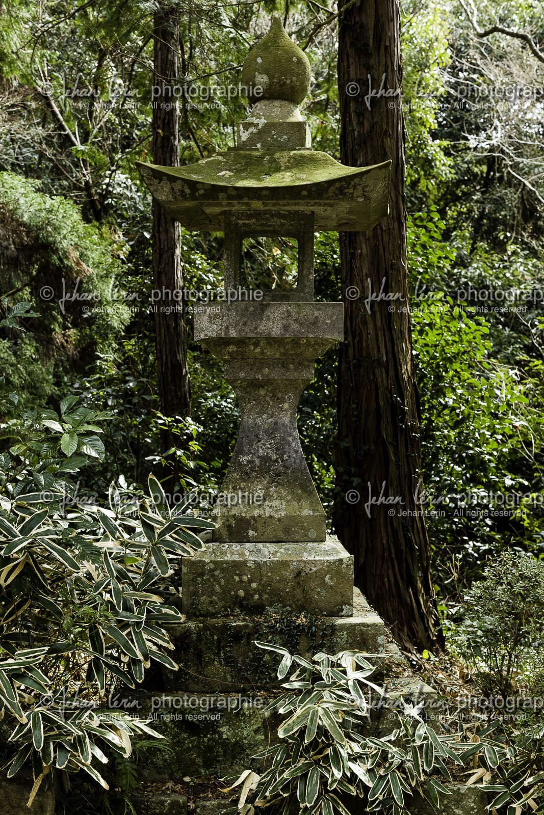 kumadaniji_temple-8_shikoku_japon_06-03_2014-1854.jpg
