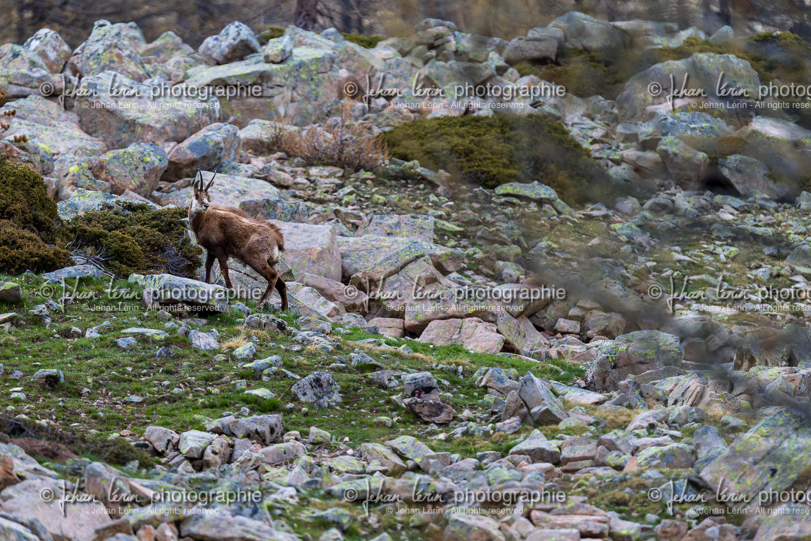 vallon-de-braisse_jl_1dx_31-05-2021-0007.jpg