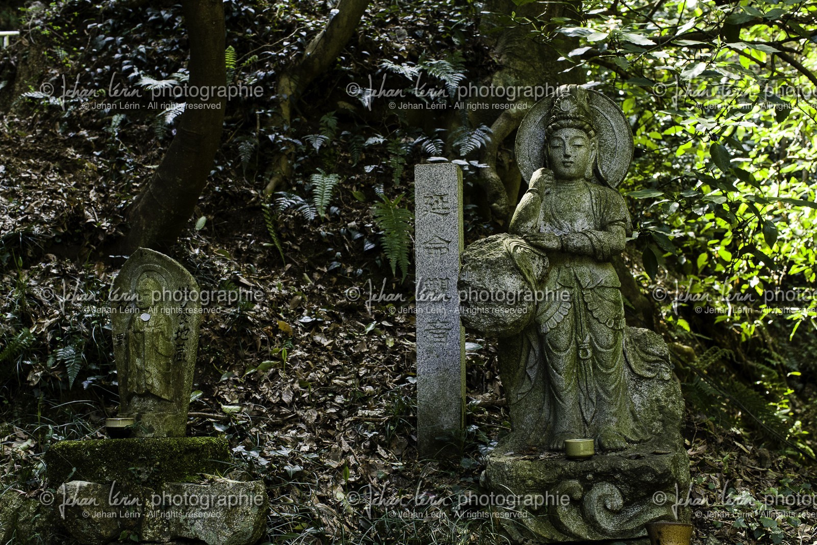 senyuji_temple-58_shikoku_japon_01-04_2014-3563.jpg
