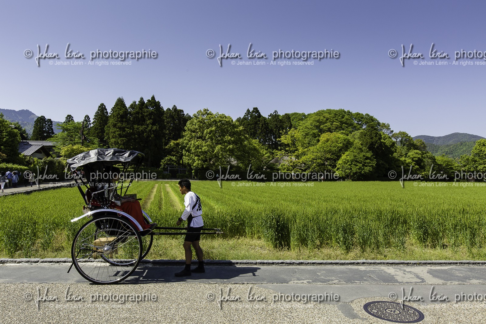 arashiyama_kyoto_japon_jl_5d3_10-05-2014-1706.jpg