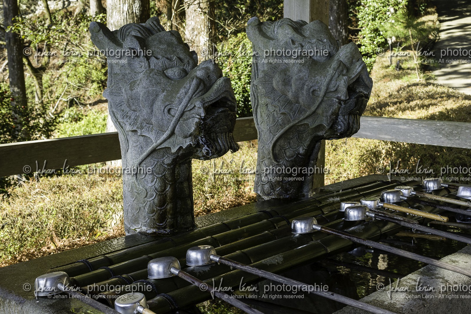 tairyuji_temple-21_shikoku_japon_11-03_2014-2326.jpg