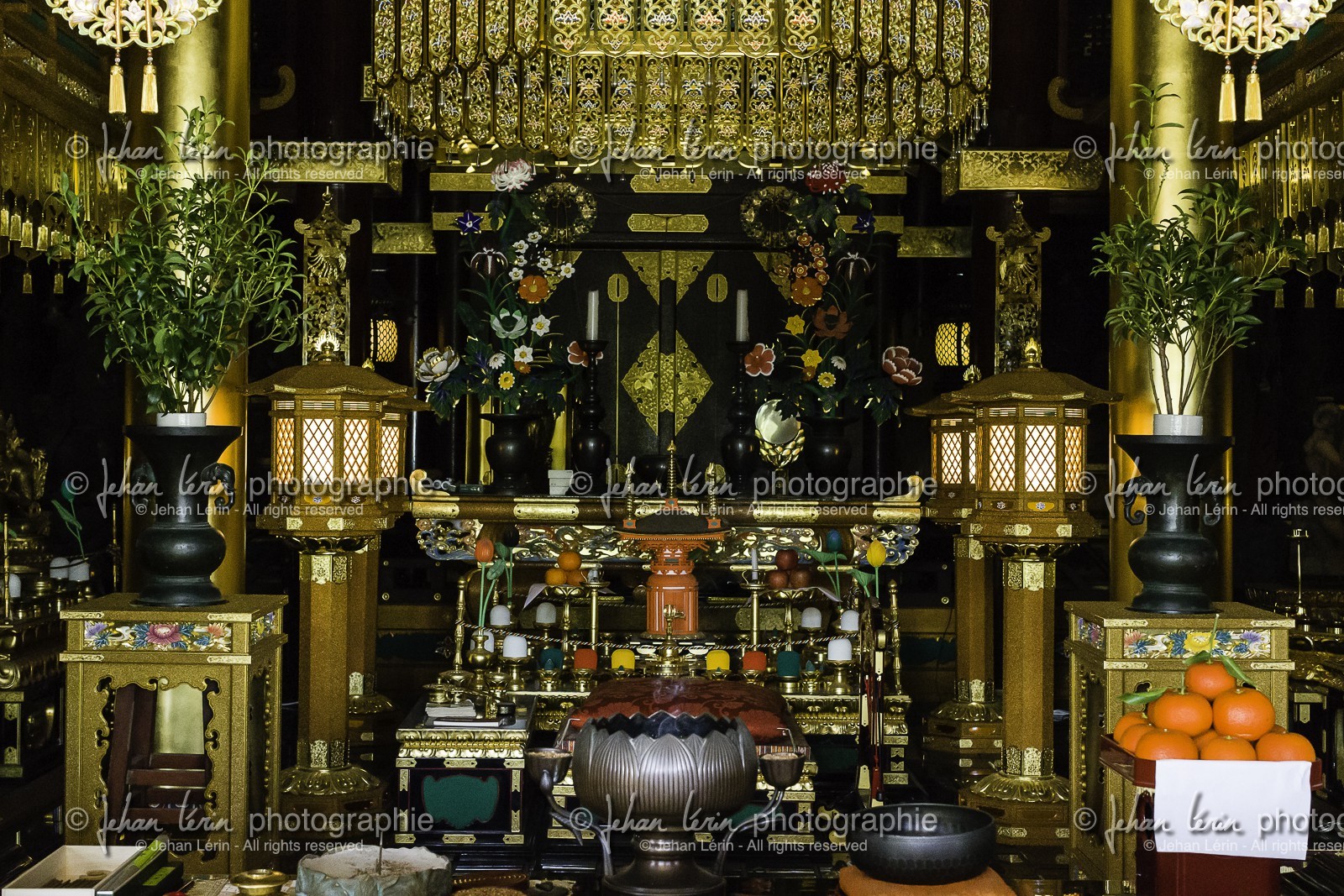 kongofukuji_temple-38_shikoku_japon_21-03_2014-2985.jpg