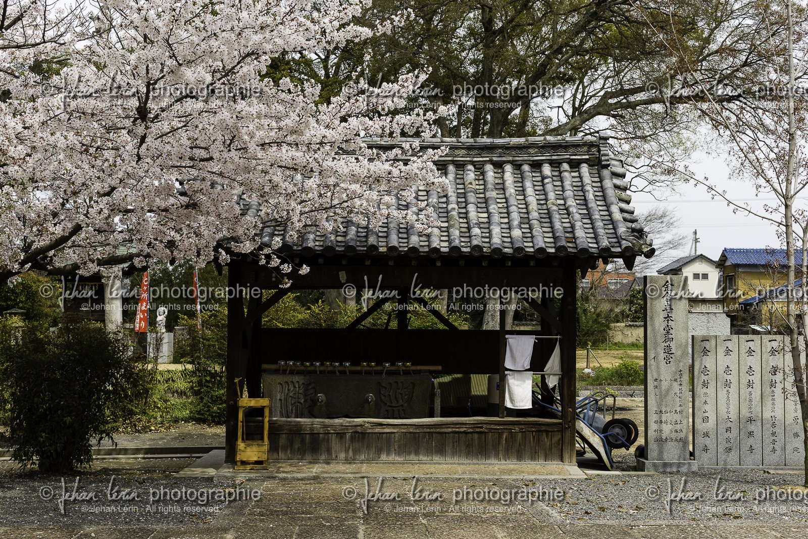 konzoji_temple-76_shikoku_japon_07-04_2014-4237.jpg