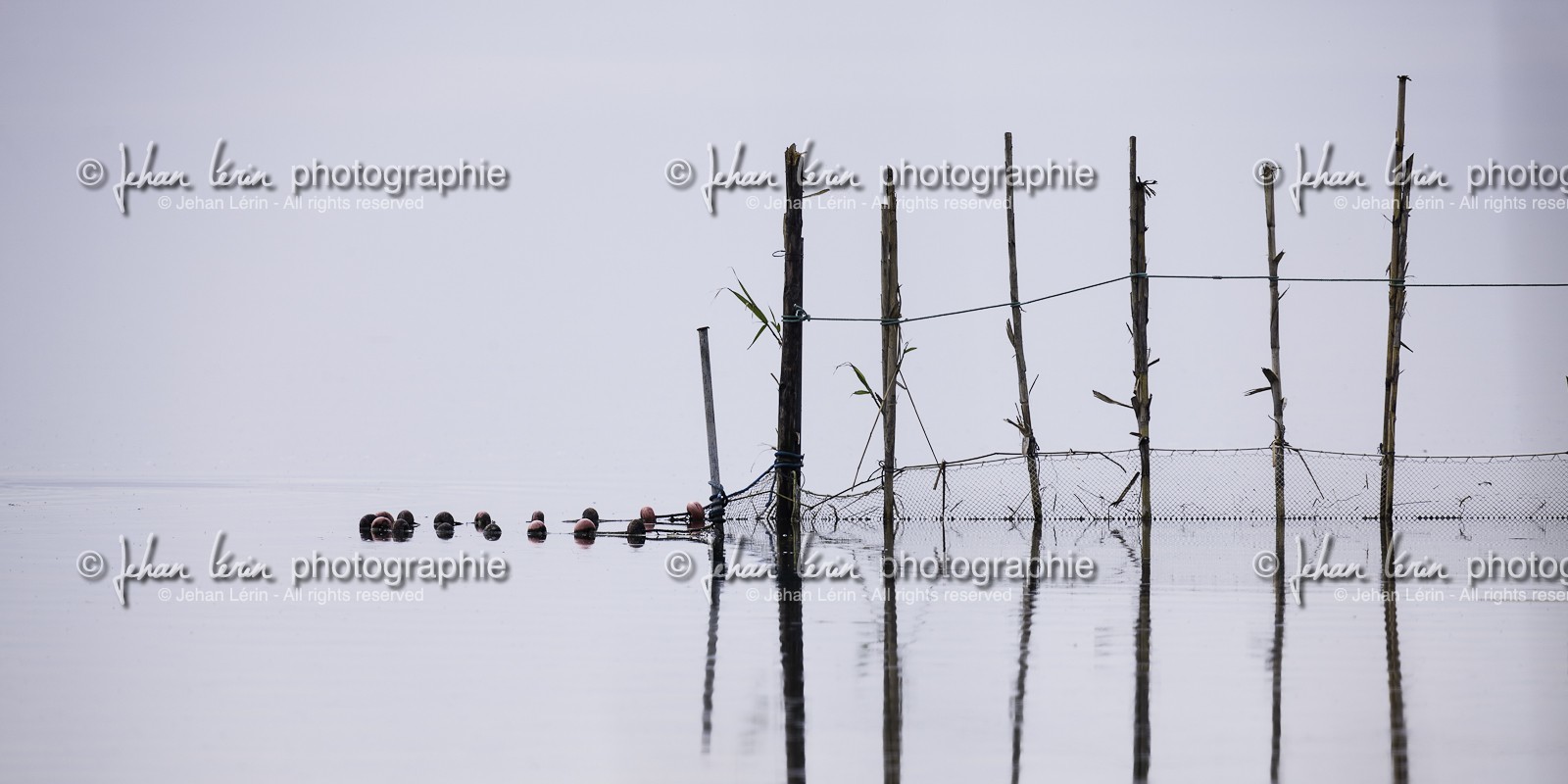 l-albufera_dec-2010-7879.jpg