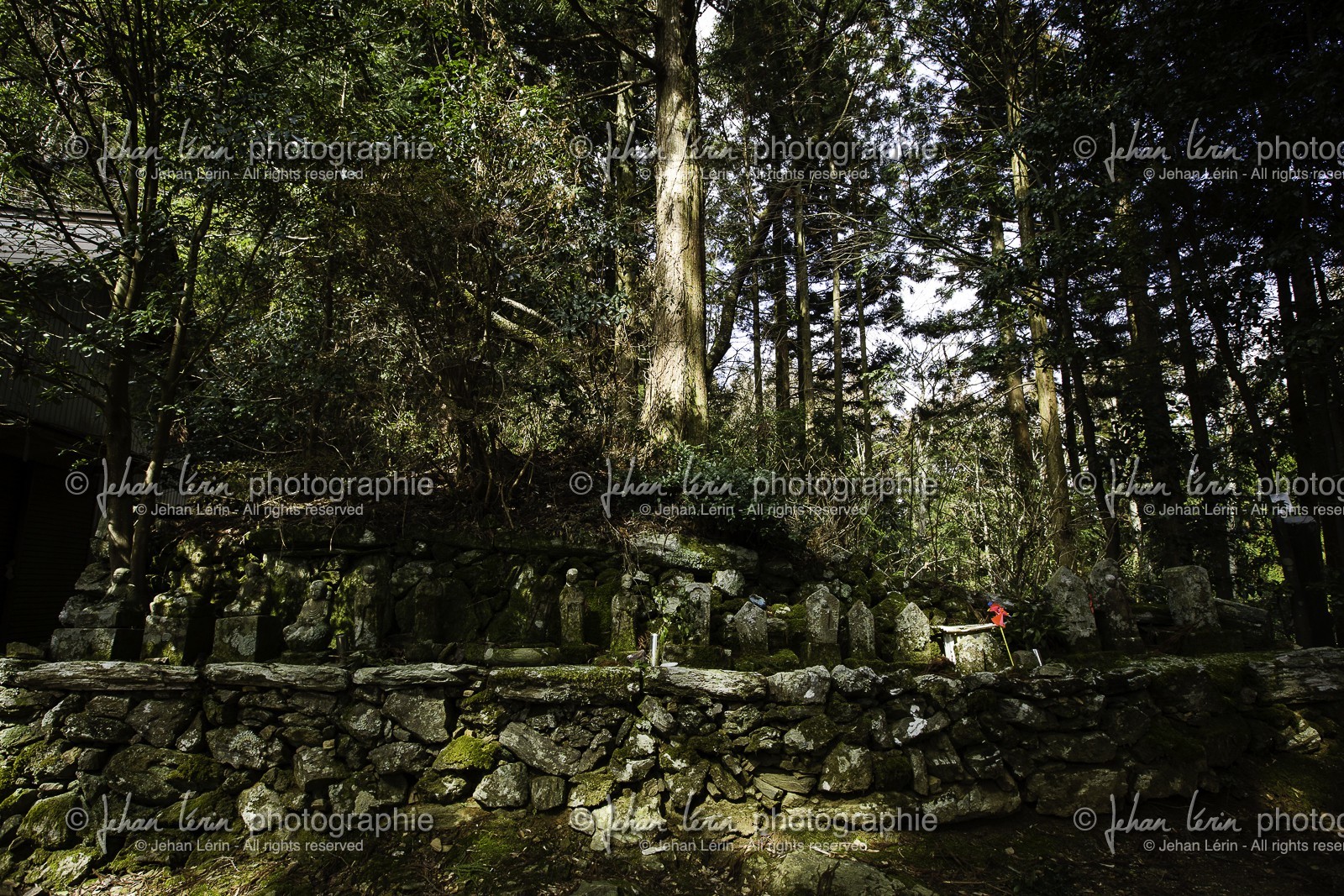 en-route-vers-le-temple-12_shikoku_japon_07-03_2014-0366.jpg