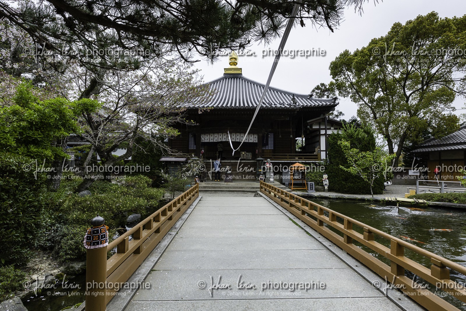 ryozenji_temple-1_shikoku_japon_12-04_2014-1292.jpg