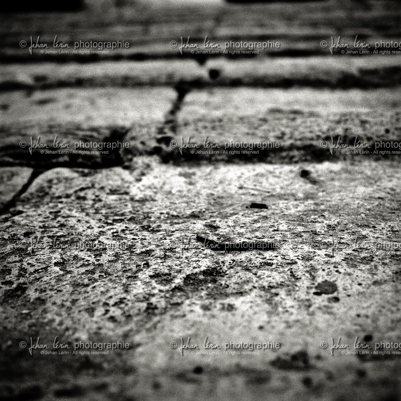 valencia_turia-steps_.jpg