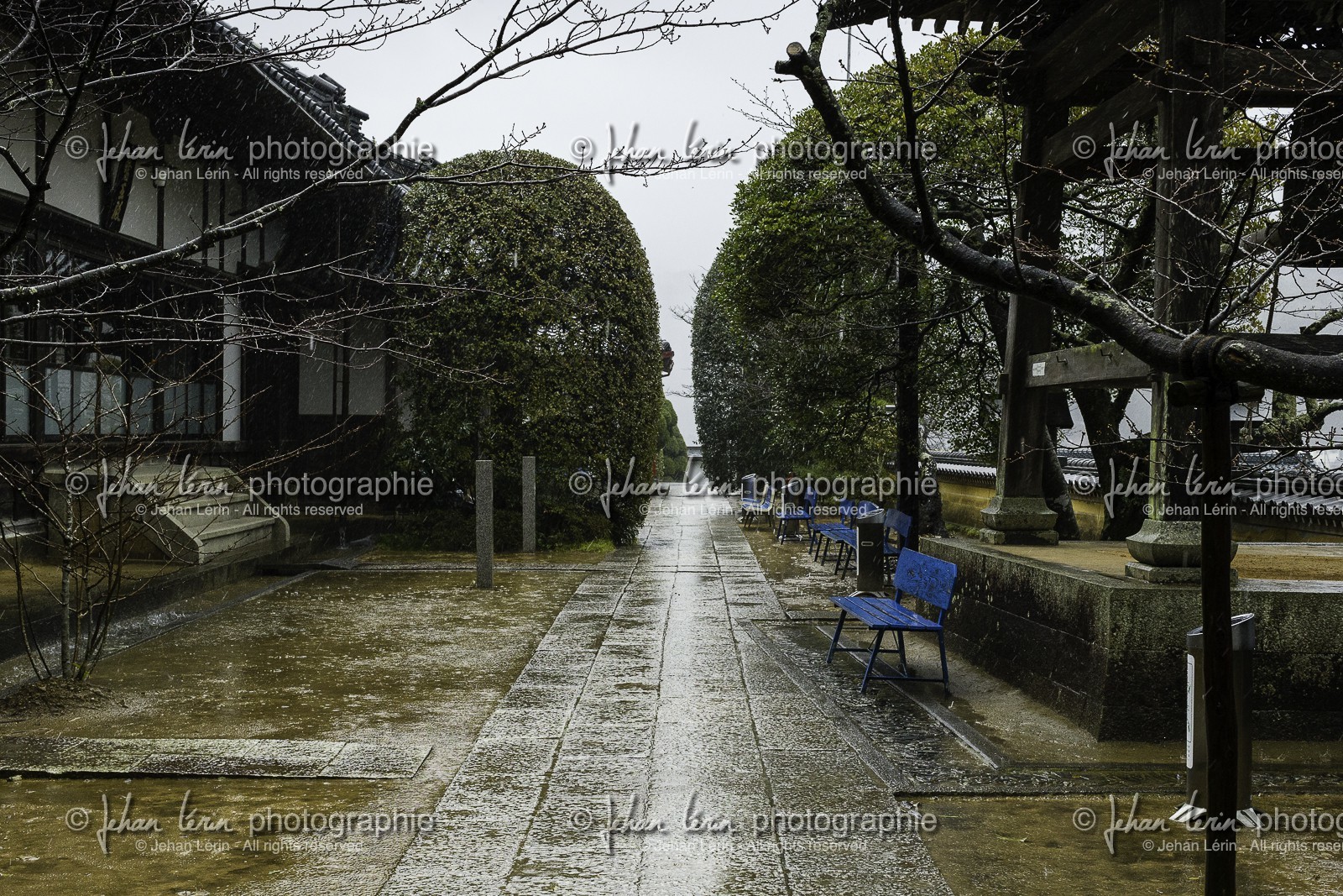 yakuoji_temple-23_shikoku_japon_13-03_2014-2437.jpg