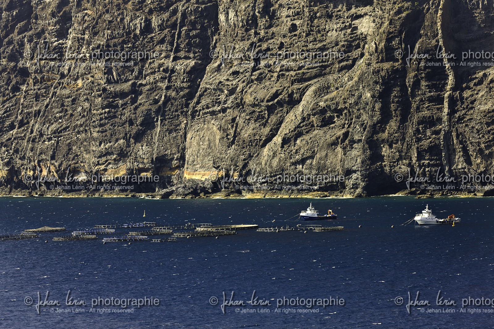 tenerife_avril_2010-0879.jpg