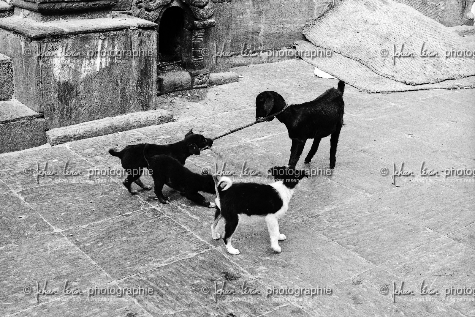 Durbar Square_Patan_nepal2005hd48.jpg