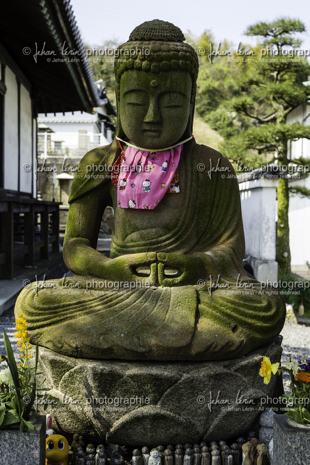 goshoji_temple-78_shikoku_japon_08-04_2014-4318.jpg