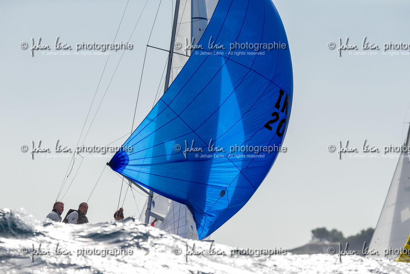 Armistice Cup Dragon 2022