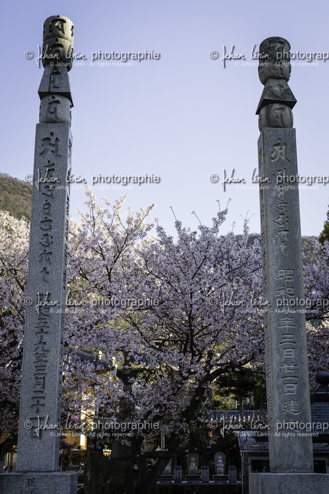 shusshakaji_temple-73_shikoku_japon_06-04_2014-4076.jpg