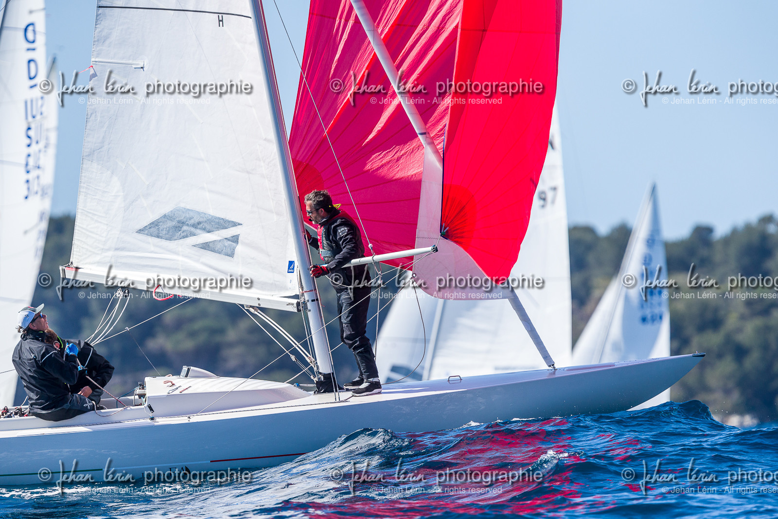 Coupe du Commodore 2023