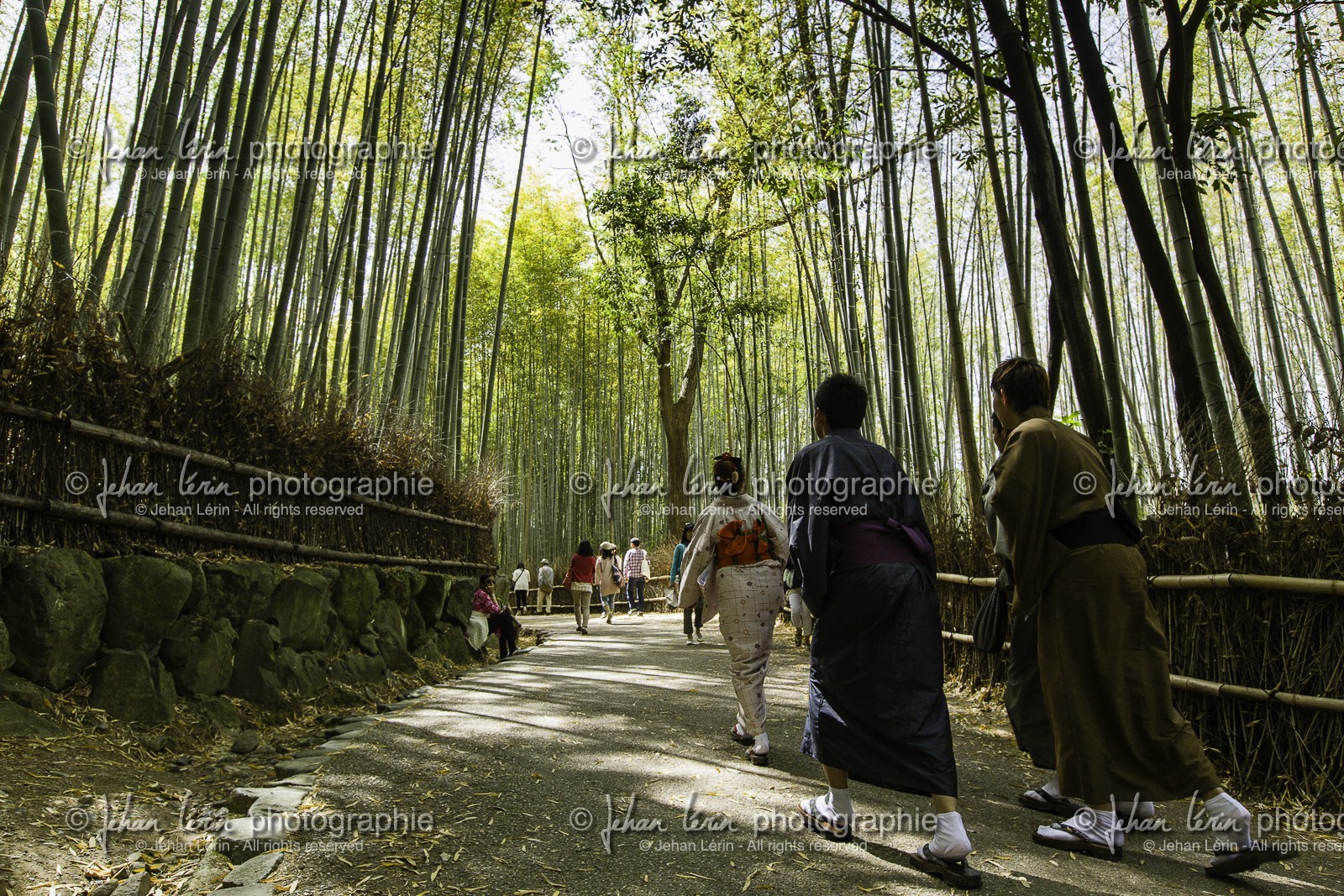 bambouseraie_arashiyama_kyoto_japon_jl_5d3_10-05-2014-1681.jpg