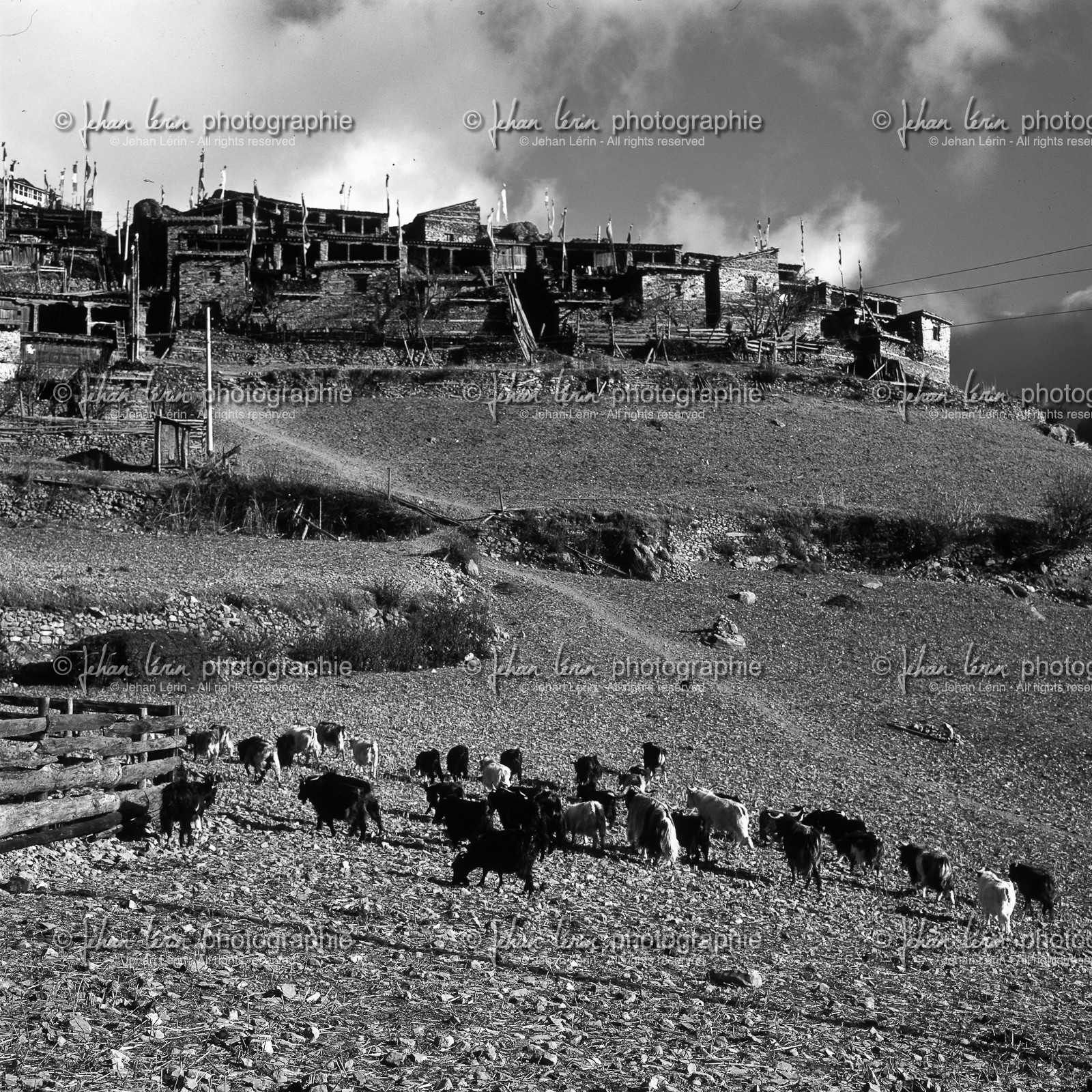 nepalhd-color-_nb-122.jpg