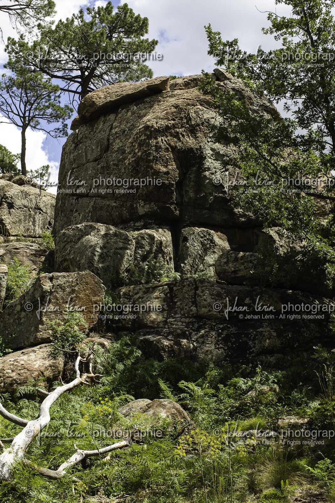 escalade_albarracin_05-07-2012-6576.jpg